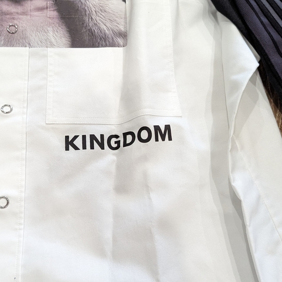 Mens Burberry Iconic Striped Print Button Up Sport Shirt White Large - Picture 4 of 11